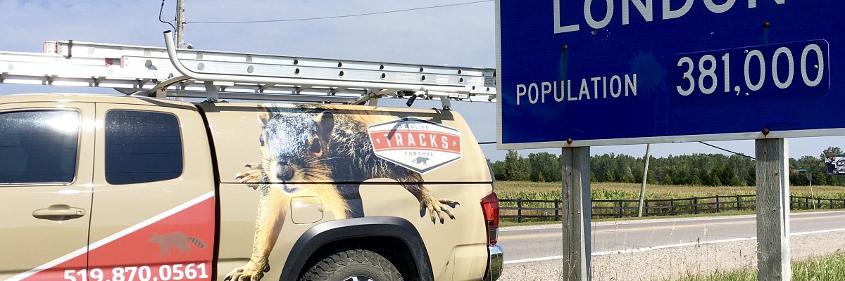 Tracks Wildlife Control